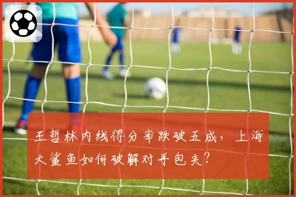 王哲林内线得分率跌破五成,上海大鲨鱼如何破解对手包夹?