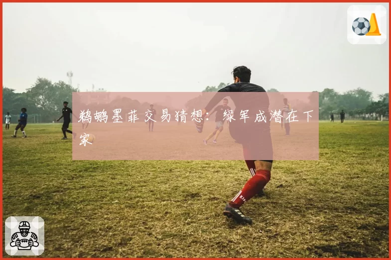 鹈鹕墨菲交易猜想：绿军成潜在下家