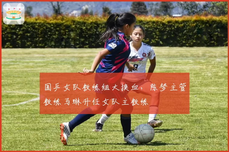国乒女队教练组大换血，陈梦主管教练马琳升任女队主教练