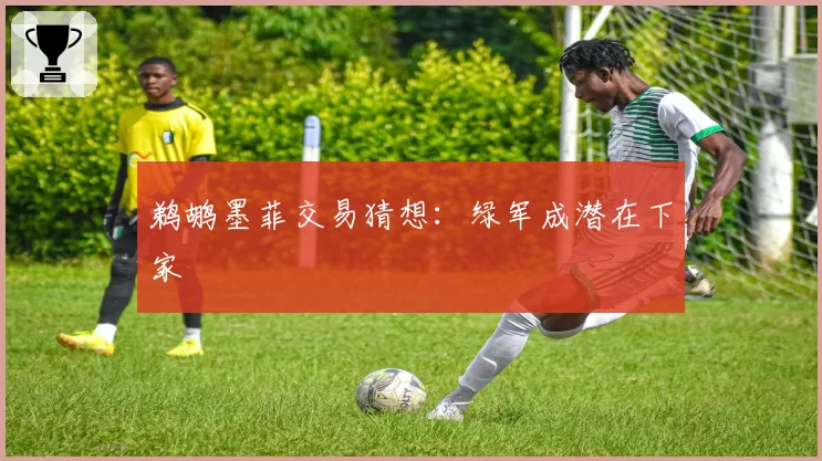 鹈鹕墨菲交易猜想：绿军成潜在下家