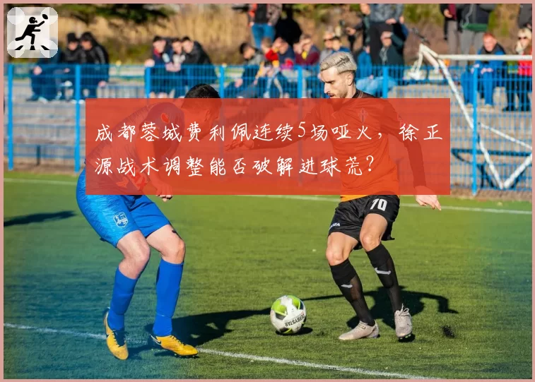 成都蓉城费利佩连续5场哑火,徐正源战术调整能否破解进球荒?