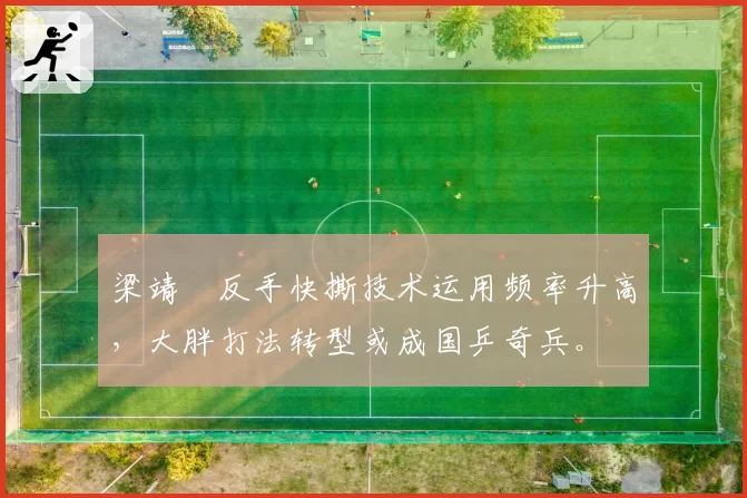 梁靖崑反手快撕技术运用频率升高，大胖打法转型或成国乒奇兵。